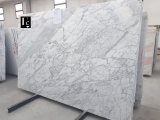 Мрамор Калакатта Бельджия