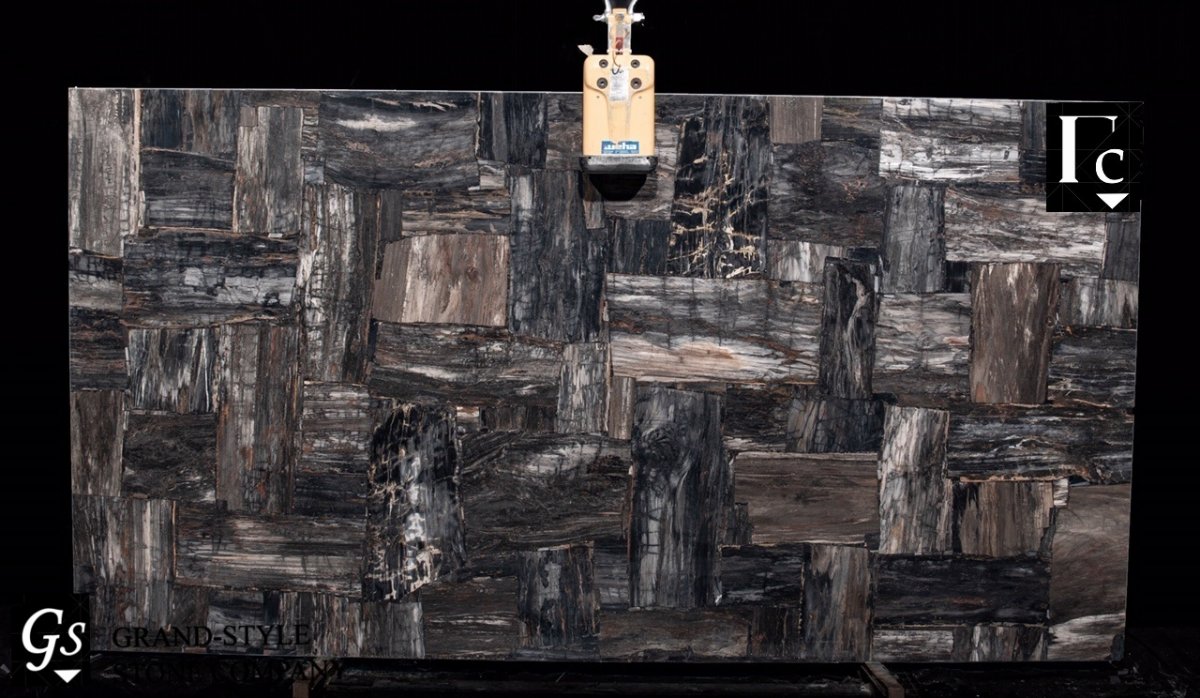 Камень Petrified Wood
