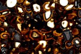Камень Wild agate 2
