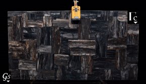 Камень Petrified Wood